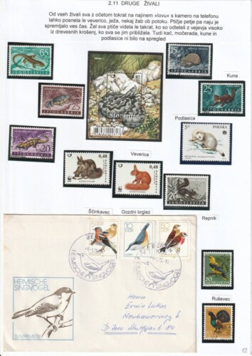 V gozd z očetom in telefonom - OŠ Škofja Loka - mesto