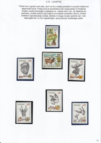 V gozd z očetom in telefonom - OŠ Škofja Loka - mesto