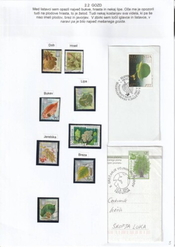 V gozd z očetom in telefonom - OŠ Škofja Loka - mesto