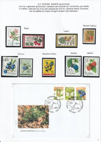 V gozd z očetom in telefonom - OŠ Škofja Loka - mesto