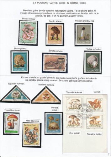 V gozd z očetom in telefonom - OŠ Škofja Loka - mesto