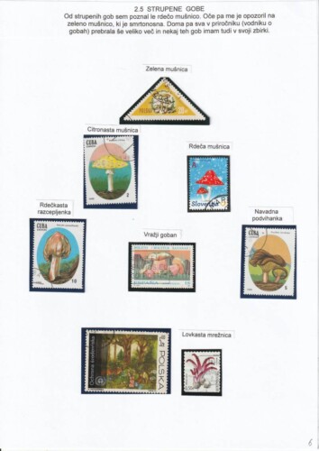 V gozd z očetom in telefonom - OŠ Škofja Loka - mesto