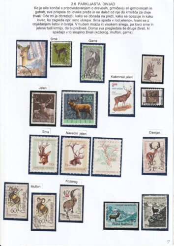 V gozd z očetom in telefonom - OŠ Škofja Loka - mesto