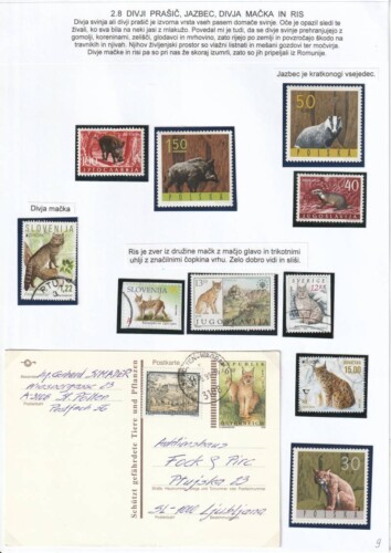 V gozd z očetom in telefonom - OŠ Škofja Loka - mesto