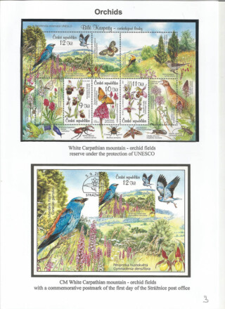 Spevakova Vesna / Flora of the Czech republic and Slovakia
