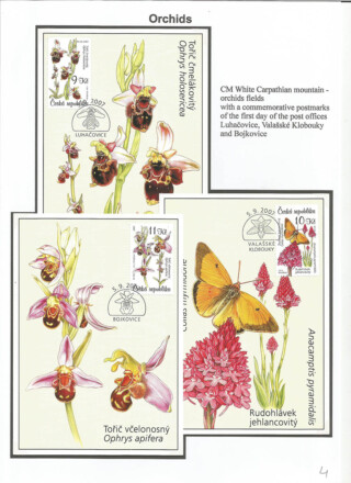Spevakova Vesna / Flora of the Czech republic and Slovakia