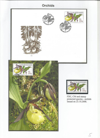 Spevakova Vesna / Flora of the Czech republic and Slovakia