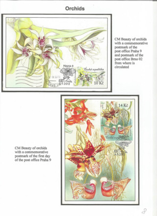 Spevakova Vesna / Flora of the Czech republic and Slovakia