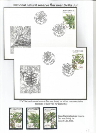 Spevakova Vesna / Flora of the Czech republic and Slovakia