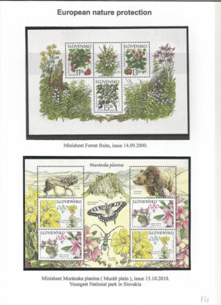 Spevakova Vesna / Flora of the Czech republic and Slovakia