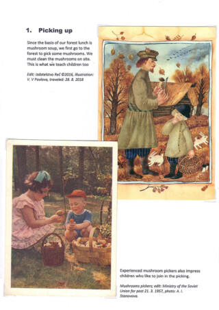 Žitnik Natalija / Girts of the Forest on a Plate
