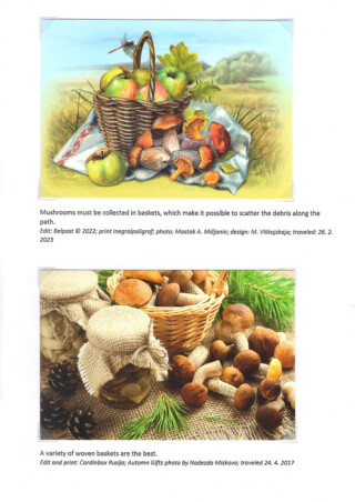 Žitnik Natalija / Girts of the Forest on a Plate