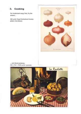Žitnik Natalija / Girts of the Forest on a Plate