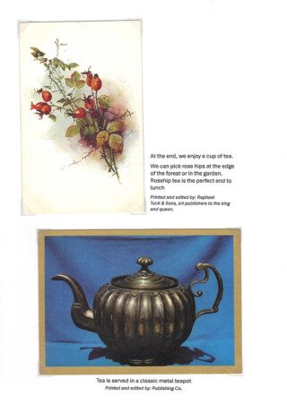 Žitnik Natalija / Girts of the Forest on a Plate